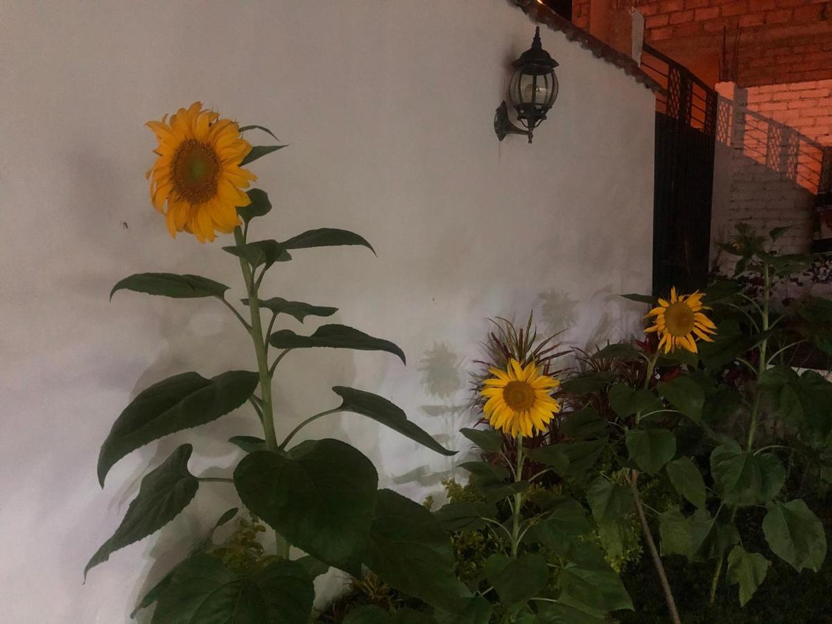 Hostel Las Palmas Вилкабамба Екстериор снимка