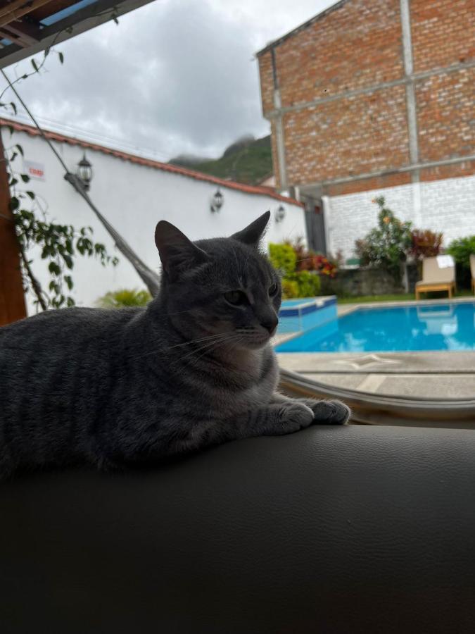 Hostel Las Palmas Вилкабамба Екстериор снимка
