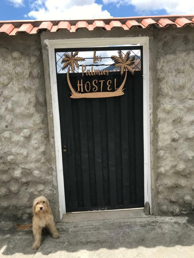 Hostel Las Palmas Вилкабамба Екстериор снимка